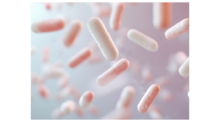 マンダリンオレンジ果皮エキスを配合　マンダリンオレンジ果皮エキスの力でお肌にハリと透明感を。お肌にやさしく、外的ダメージからお肌を保護します。　