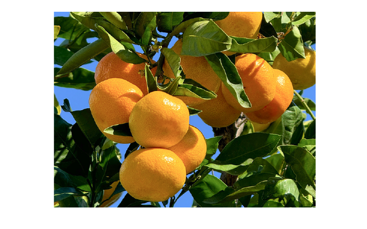 一日中保湿もしっかりできてもっちり感もあり驚きました